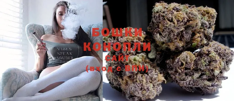 где найти наркотики  Дудинка  дарк нет как зайти  Шишки марихуана SATIVA & INDICA 